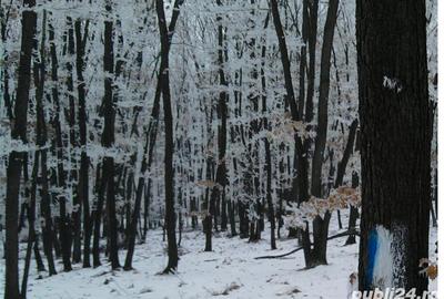 Teren de 16950 mp, în Blaj - 1