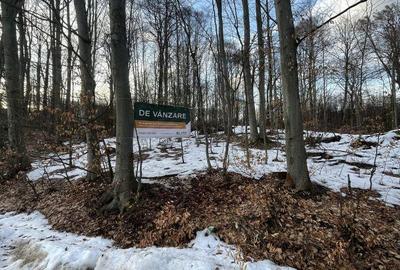 Spațiu comercial, în Central - 3