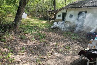Casă cu 3 camere cu Teren 1400 Mp în Mihai Viteazu