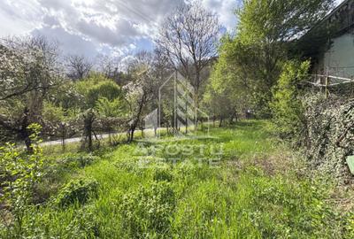 Casă individuală cu 2 camere cu Teren 725 Mp în Toplița - 5