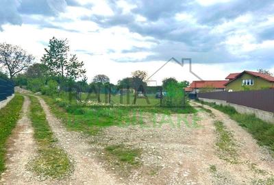 TEREN INTRAVILAN DE VANZARE - CĂRPINIȘ, COM. TĂRLUNGENI, BRAȘOV - 3