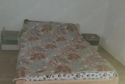 Casă cu 2 camere cu Teren 1500 Mp în Mânzălești - 4