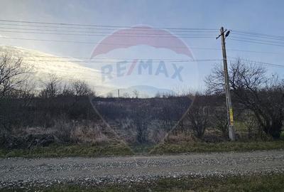 Teren de 2500 mp, în Odobești - 4
