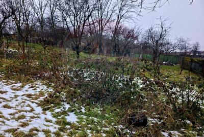 Teren Construcții intravilan de 4516 mp, în Doina - 33