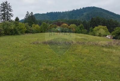 Teren de 726 mp, în Poiana Angelescu - 5