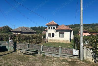 Vand casa in sat Ceauru, comuna Bale?ti, strada principala - 1