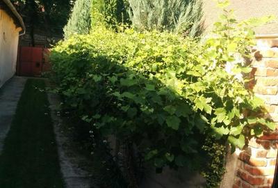 Casă cu 4 camere cu Teren 540 Mp în Central - 4