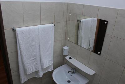 Pensiune 8 camere Vama Oancea,DN-26 si 14 hect teren compact irigabil - 11