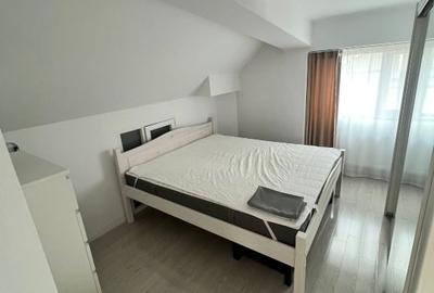 2 camere jiului - 10