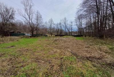 Resita, Teren Drept Intravilan, Langa Prau si Drum, 1308 Mp., 15 Euro Mp., Renk - 13