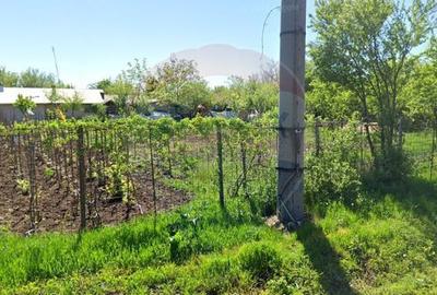 Casă cu 6 camere cu Teren 2655 Mp în Toporu - 3