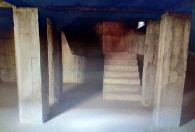 Casă cu 4 camere cu Teren 5000 Mp în Mârșa - 9