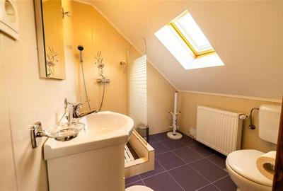 FILM! Investitie 2 in 1:Unitati independente +domeniu 1.742mp,aria Bran,Tohanita - 20