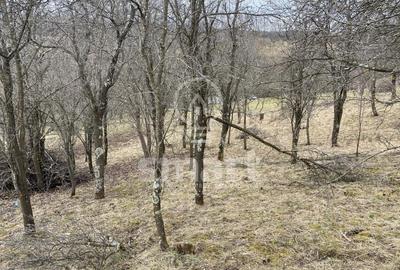 Teren intravilan cu CF 5400mp front 17 Savadisla jud Cluj - 8