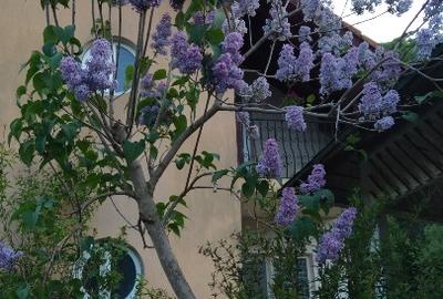 Duplex cu 5 camere cu Teren 600 Mp în Voineasa - 7