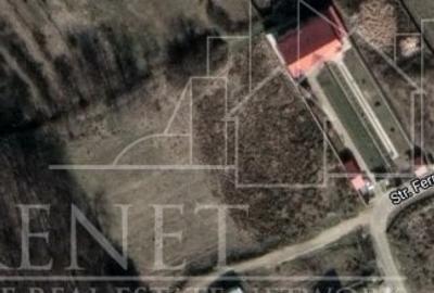 Teren Construcții intravilan de 1000 mp, în Bascov - 14