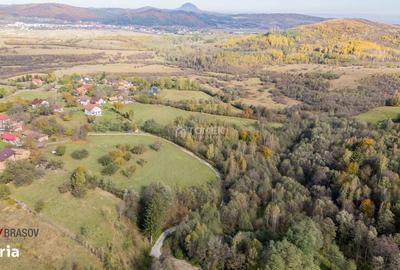 Spațiu comercial, în Predeluț - 3
