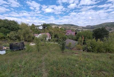 Teren de 5400 mp, în Drăgăneasa
