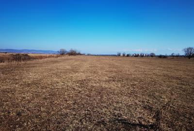 Oportunitate unica – Teren extravilan cu potential agricol si turistic, Poplaca - 4