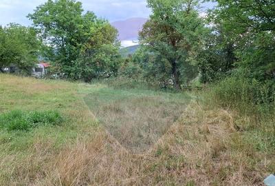 Teren Construcții intravilan de 2635 mp, în Bârzava - 8