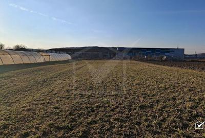 Spațiu comercial, în Apahida