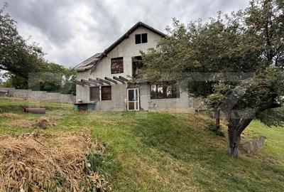 Casa etaj, 140 mp utili, 4800 mp teren, Adancata - 2