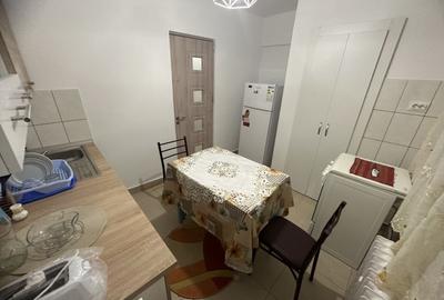 Apartament cu 2 camere decomandat, mobilat în Berceni - 16