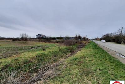 Teren de 12216 mp, în Vetiș - 3