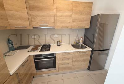 Garsonieră decomandată, mobilată în Drumul Taberei - 11