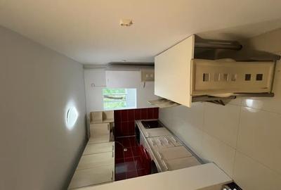 Apartament cu 2 camere decomandat în Gorjului - 3