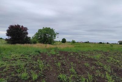 Teren Construcții intravilan de 2500 mp, în Ciorogârla