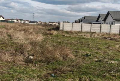 Teren Construcții de 7032 mp, în Berceni - 8