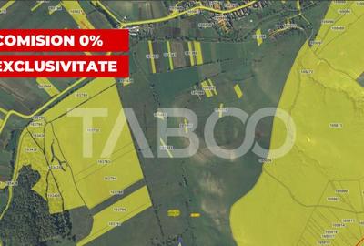 Teren extravilan 2900 mp pretabil pentru investitie zona Lov