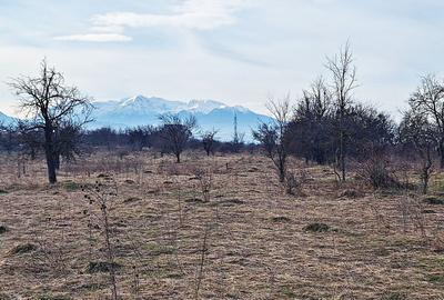 Teren Construcții intravilan de 933 mp, în Ghimbav Livadă - 7