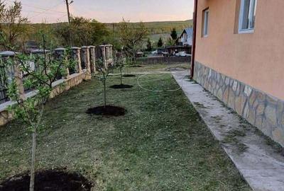 Casă cu 4 camere în Pârcovaci - 2