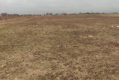 Spațiu comercial, în Săvinești - 6