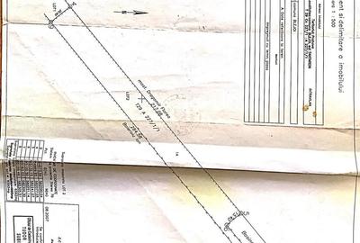 Teren 5000 mp, viran langa Casa Oscar de inchiriat - 2