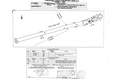 Casă cu 3 camere semidecomandat în Buchilași - 9