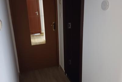 Apartament cu 3 camere decomandat, mobilat în Brâncoveanu - 8