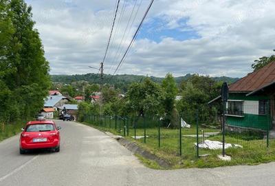 Teren de 4200 mp, în Ocina de Sus - 13