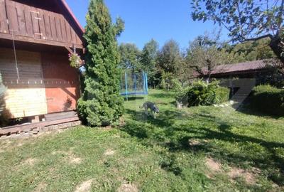 Teren extravilan 73 ari + cabana+lac de pesti,zona Slatinita - 2