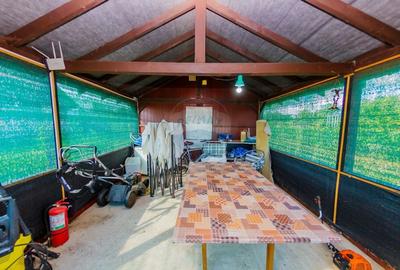 Casă cu 4 camere cu Piscina în Bozânta Mare - 9