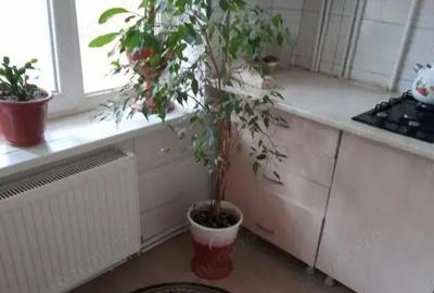 Garsonieră decomandată în Lipovei - 3