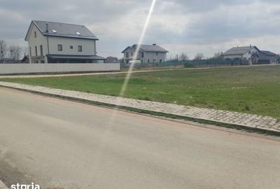Teren de 450 mp, în Dragomirești-Vale - 13