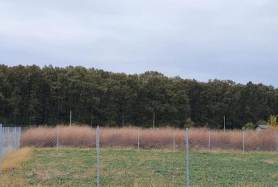 TEREN CONSTRUCTII-INTRAVILLAN-SUPERB-SNAGOV-PADURE-UTILITATI-PROIECT - 4