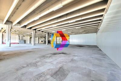 Spatiu industrial - 1229 mp  # plus-imo.ro - 3