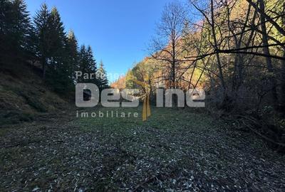 Teren Construcții extravilan de 2882 mp, în Podu Dâmboviței - 4