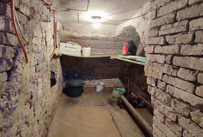 De vanzare Casa 2 camere cu Teren 1323 mp, 2 fronturi - Gradina Viilor - Carei - 9