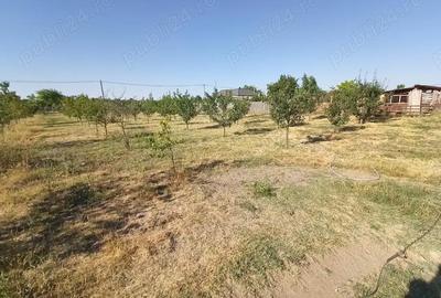 Teren de 3000 mp, în Sarinasuf - 2