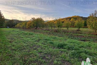 Teren de / Maneciu Pamanteni - 6